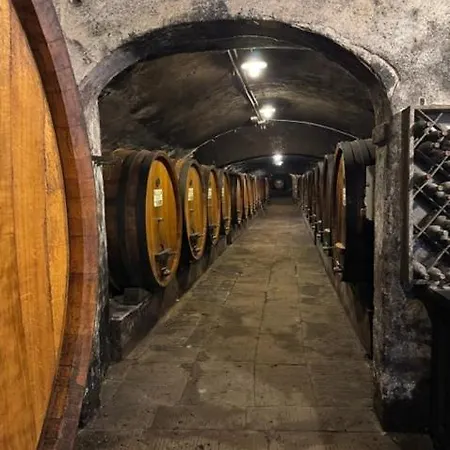 Badia A Coltibuono Wine *