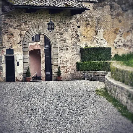 Badia A Coltibuono Wine