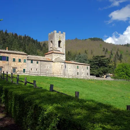 Badia A Coltibuono Wine *